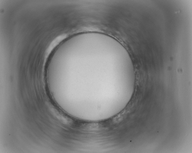 X0000072990104200608111817