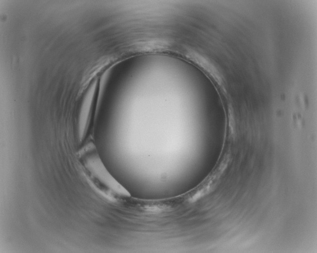 X0000072990105200608111817