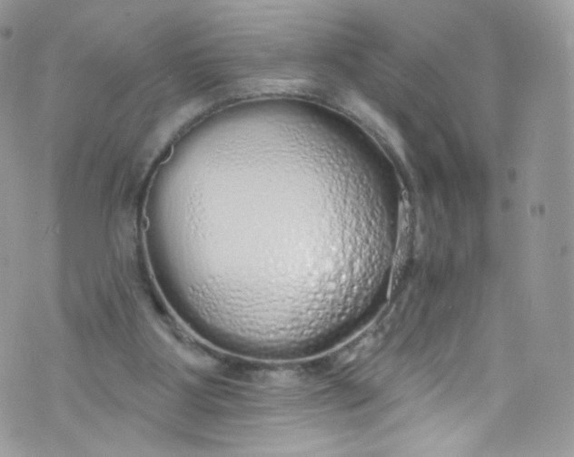 X0000072990107200608111817