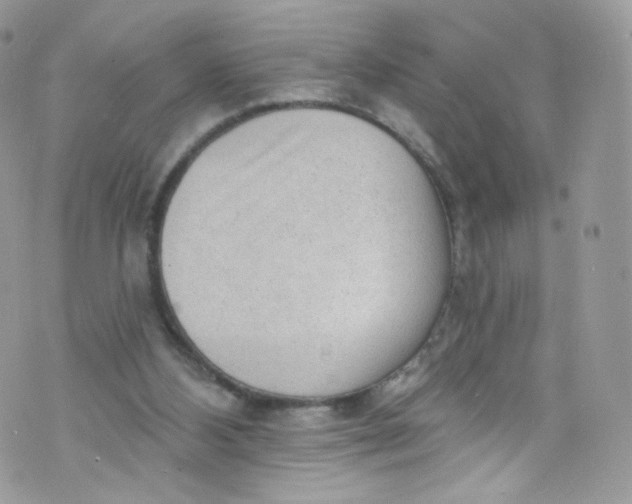 X0000072990108200608111817