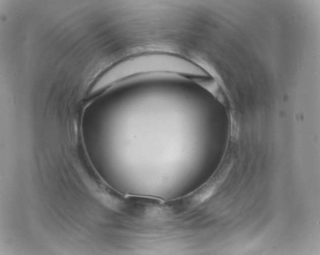 X0000072990109200608111817