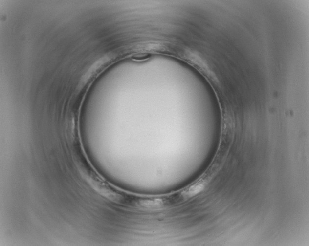 X0000072990110200608111817