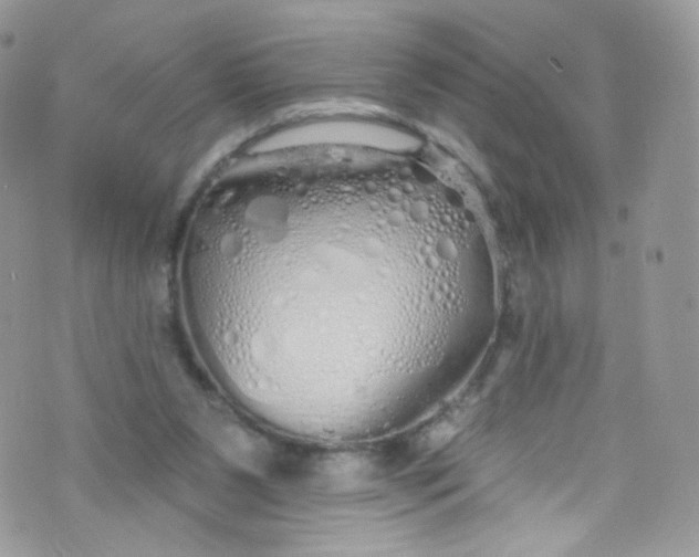 X0000072990111200608111817