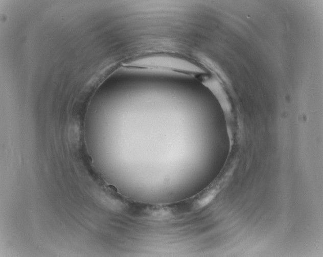 X0000072990113200608111817