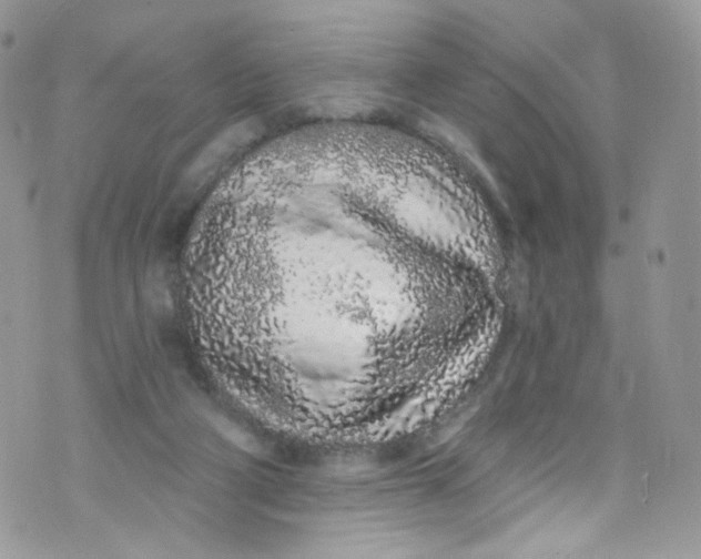 X0000072990114200608111817