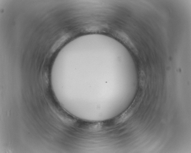 X0000072990116200608111817