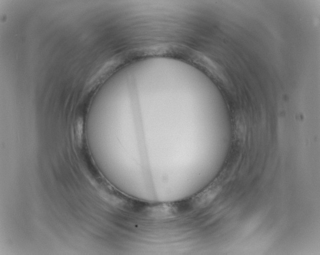 X0000072990118200608111817