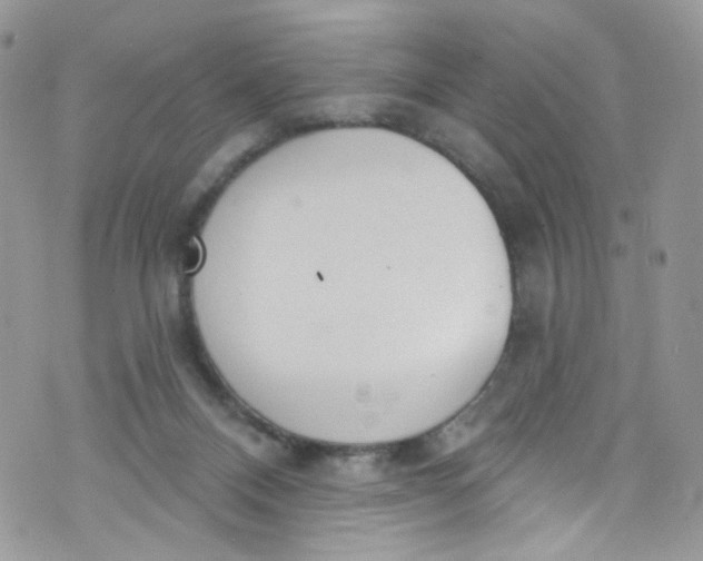 X0000072990120200608111817