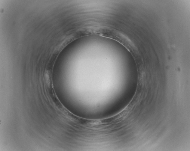 X0000072990121200608111817