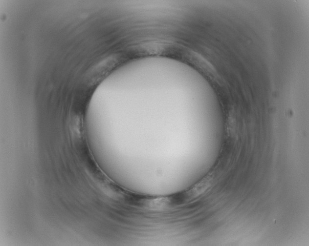 X0000072990122200608111817