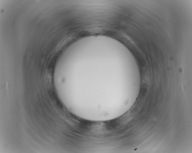 X0000072990124200608111817