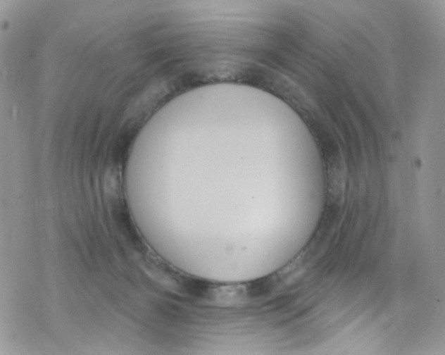 X0000072990126200608111817