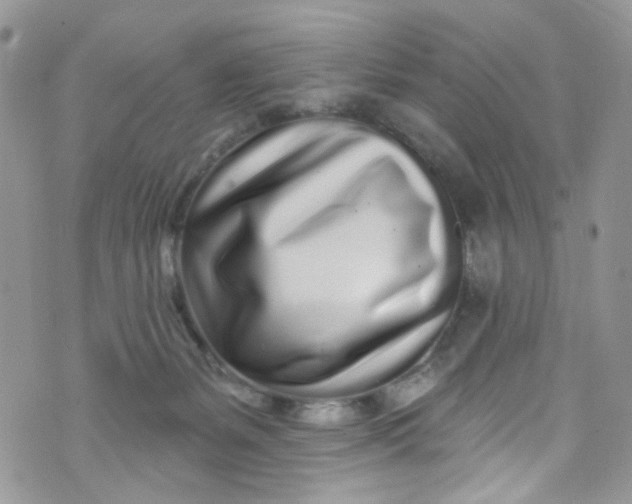 X0000072990127200608111816