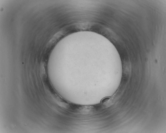 X0000072990128200608111816