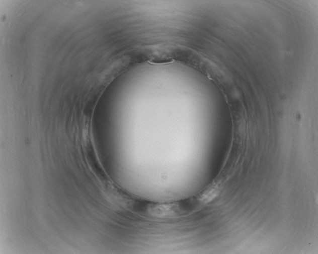 X0000072990129200608111816