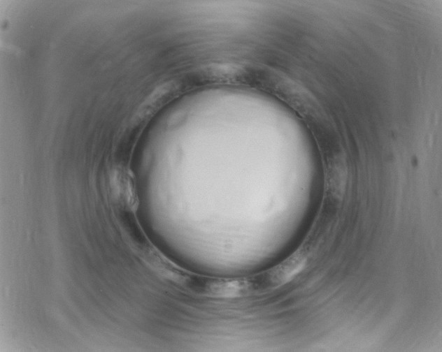 X0000072990131200608111816