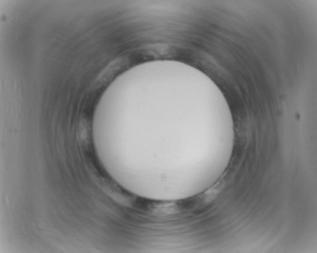 X0000072990132200608111816