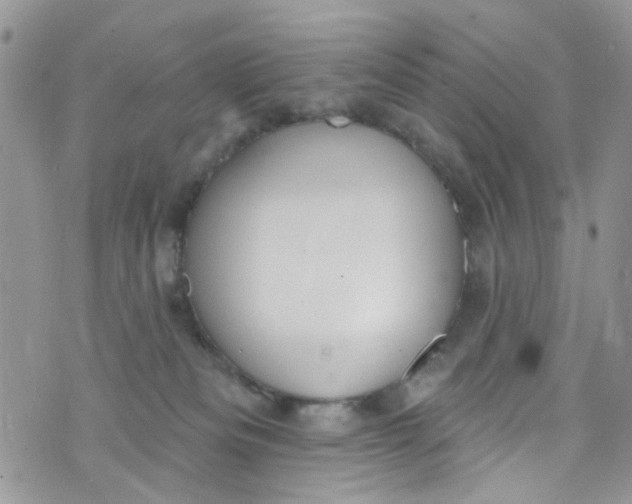 X0000072990133200608111816