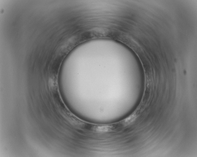 X0000072990134200608111816