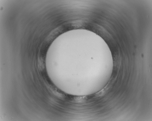 X0000072990136200608111816