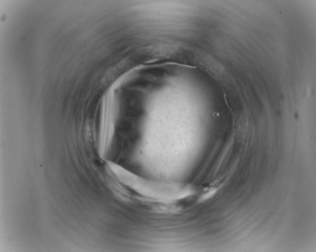 X0000072990137200608111816