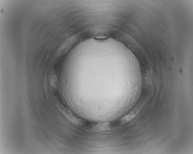 X0000072990138200608111816