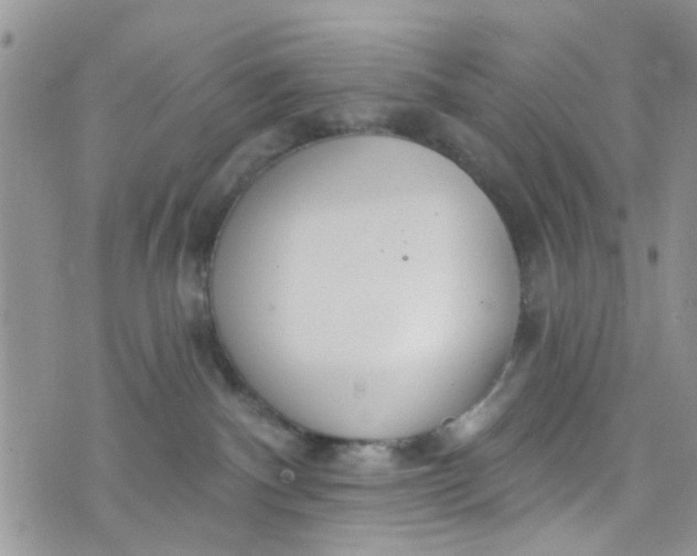 X0000072990140200608111816