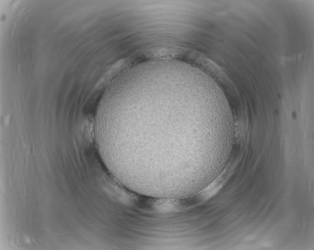 X0000072990142200608111816