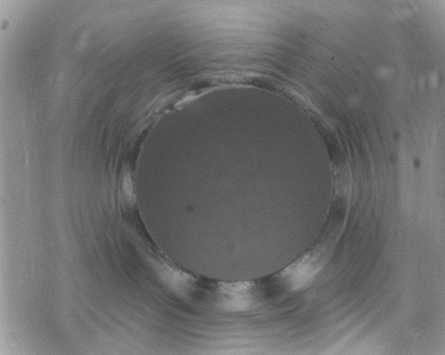 X0000072990143200608111816