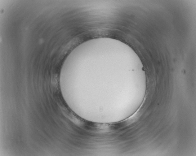 X0000072990144200608111816