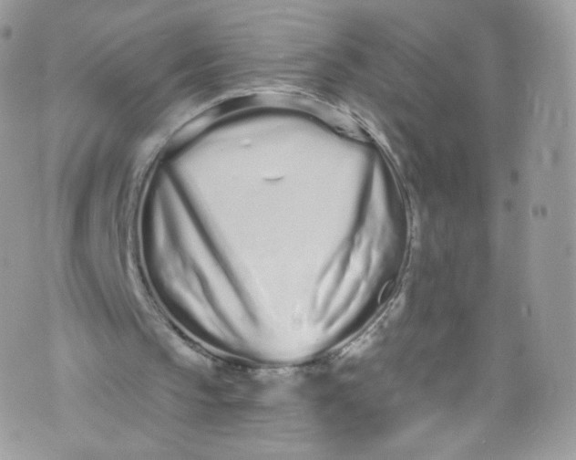 X0000072990145200608111815