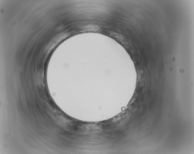 X0000072990146200608111815