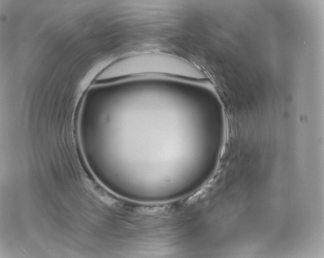 X0000072990147200608111815