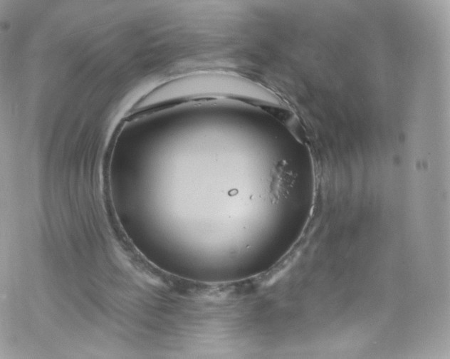 X0000072990148200608111815