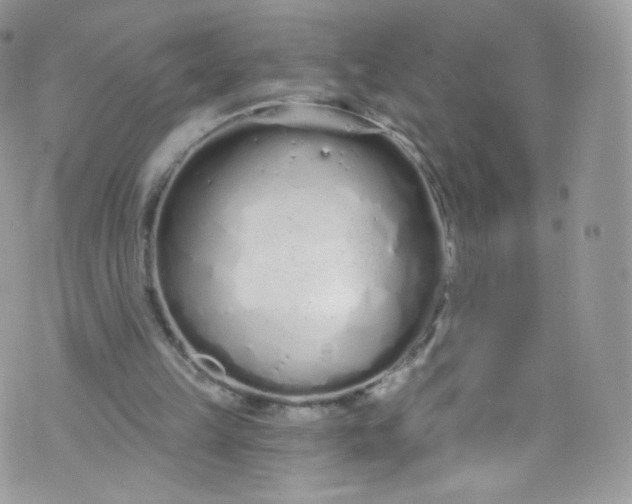 X0000072990149200608111815