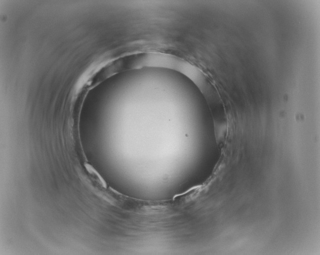 X0000072990150200608111816