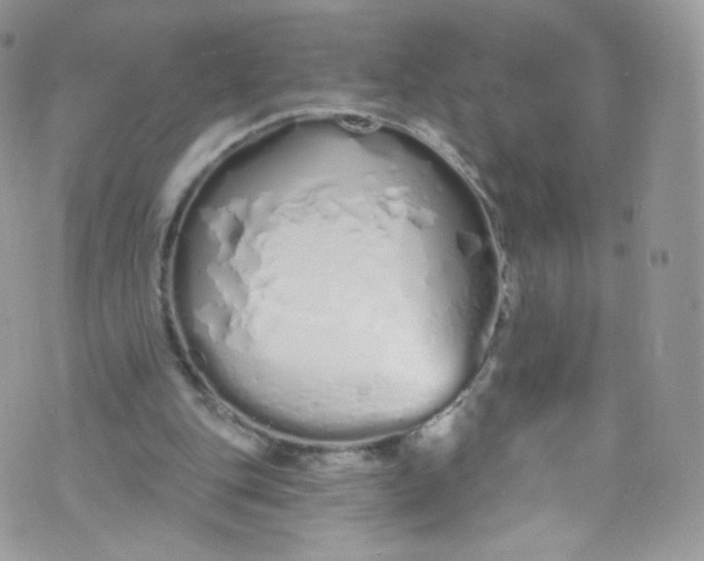 X0000072990151200608111816