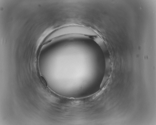 X0000072990152200608111816