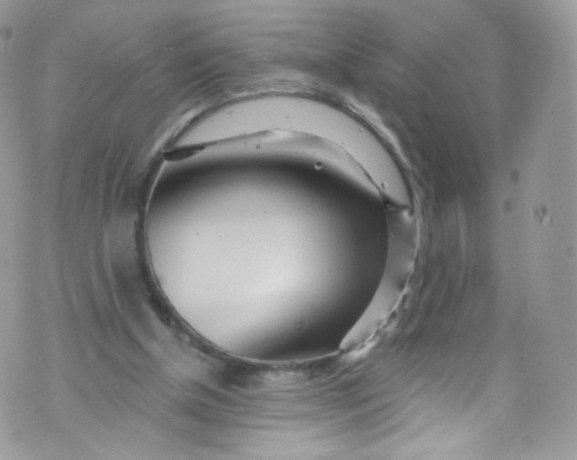 X0000072990154200608111816