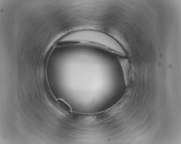 X0000072990156200608111816