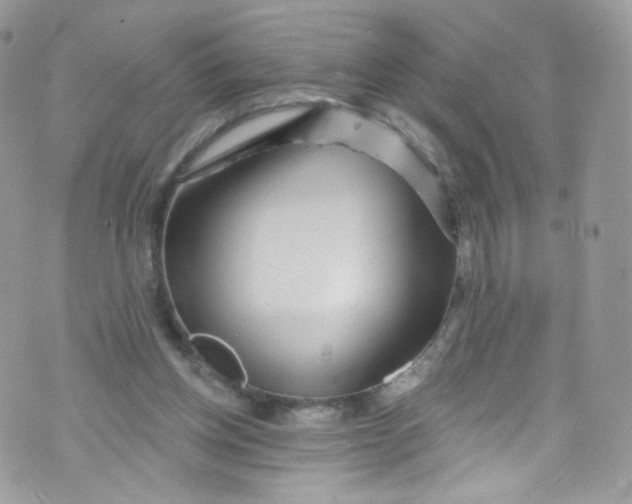 X0000072990158200608111816