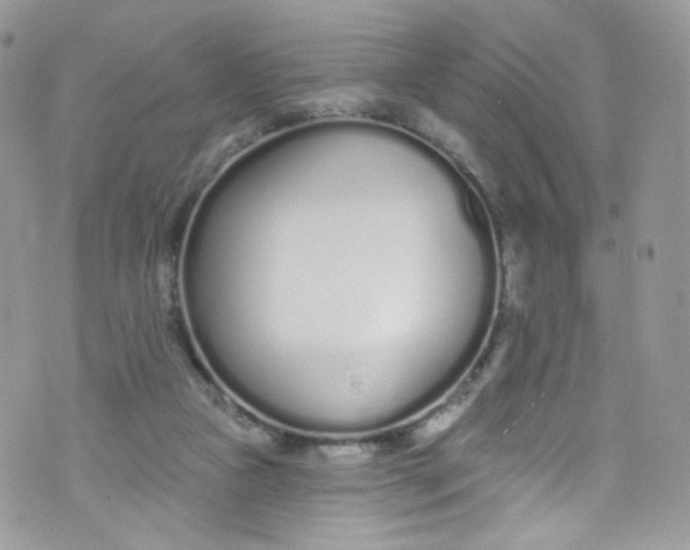 X0000072990161200608111816