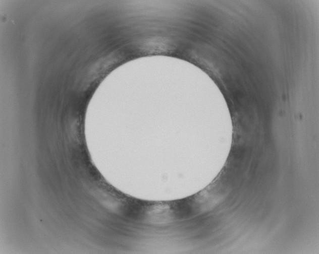 X0000072990162200608111816