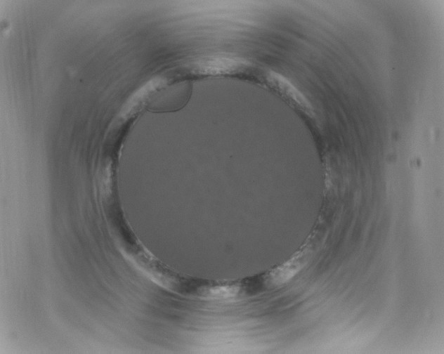 X0000072990163200608111816