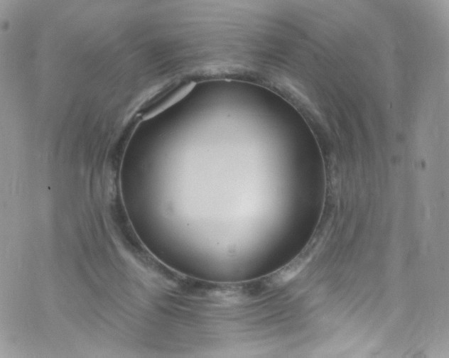 X0000072990164200608111816