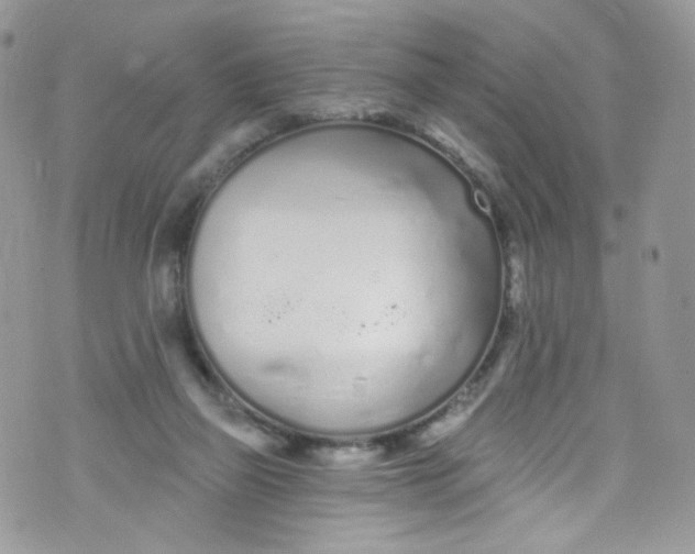 X0000072990165200608111816