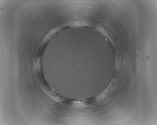 X0000072990167200608111816