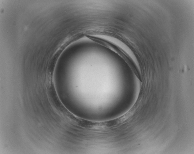 X0000072990168200608111816