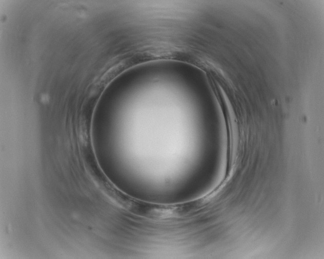 X0000072990170200608111816