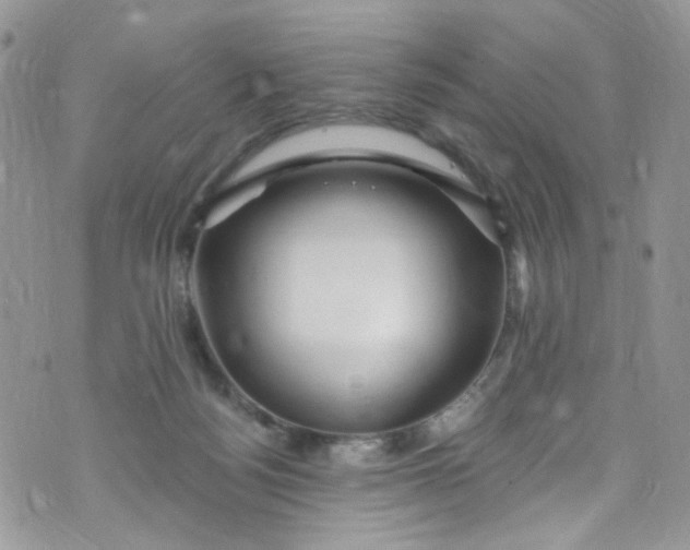 X0000072990172200608111816